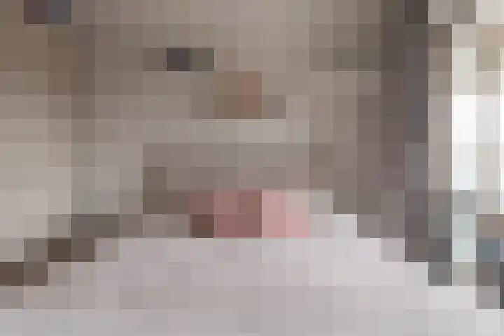 Kwakelkade 4 E Alkmaar thumbnail 30