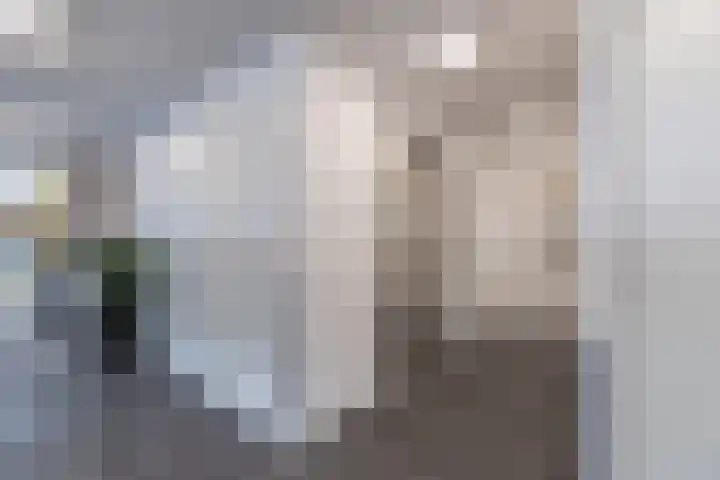 Kwakelkade 4 E Alkmaar thumbnail 34