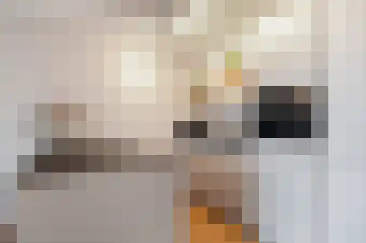 Kwakelkade 4 J Alkmaar thumbnail 12