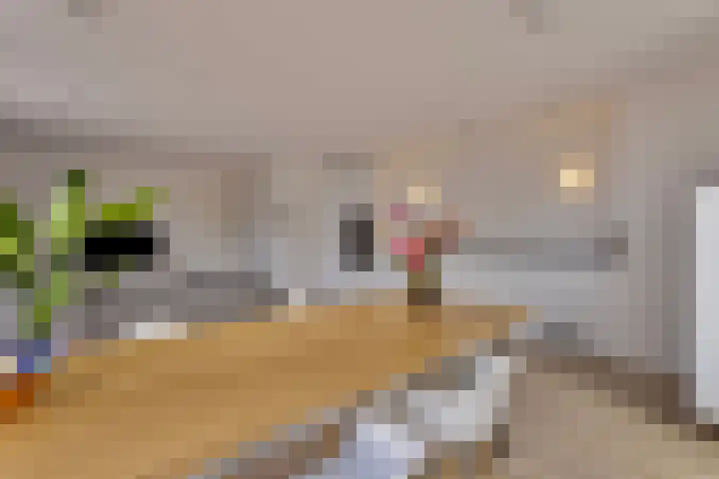 Kwakelkade 6 D Alkmaar thumbnail 12