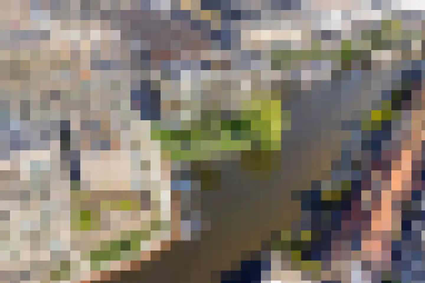 Kwakelkade 6 D Alkmaar thumbnail 34