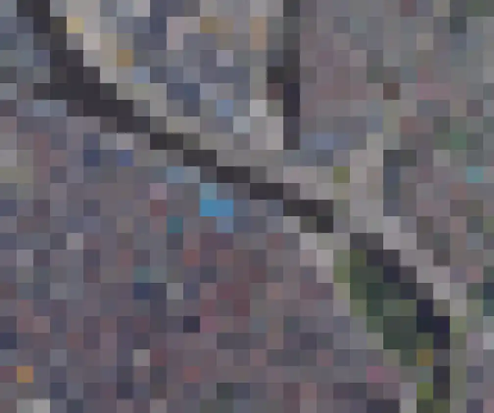 Kwakelkade 6 D Alkmaar thumbnail 35