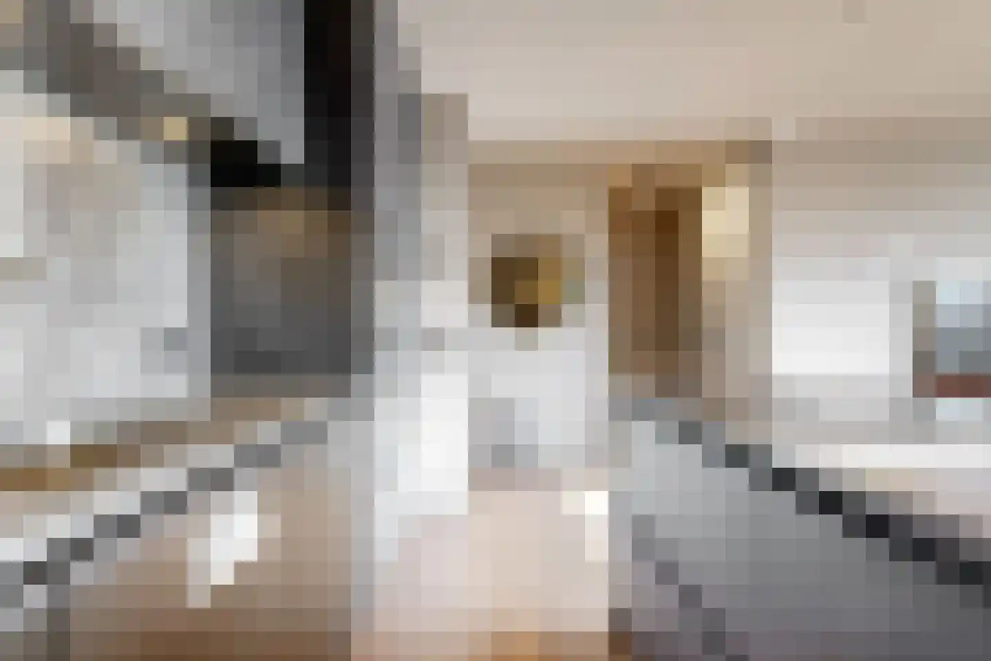 Kwakelkade 6 F Alkmaar thumbnail 10