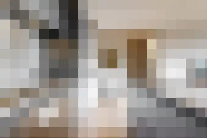 Kwakelkade 6 F Alkmaar thumbnail 10