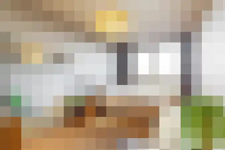 Kwakelkade 6 F Alkmaar thumbnail 18