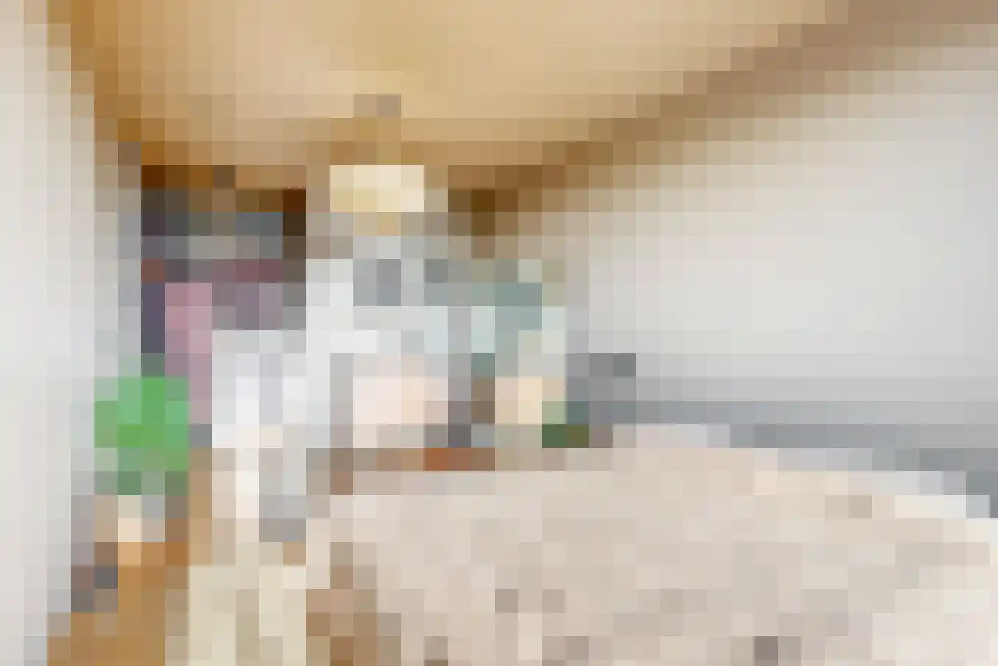 Kwakelkade 6 F Alkmaar thumbnail 19