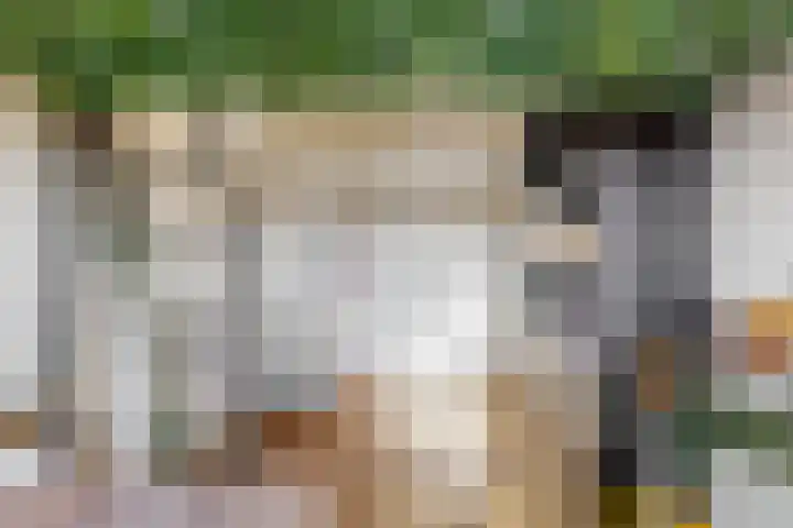 Kwakelkade 6 F Alkmaar thumbnail 21