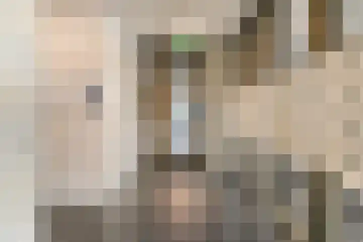 Kwakelkade 6 F Alkmaar thumbnail 33