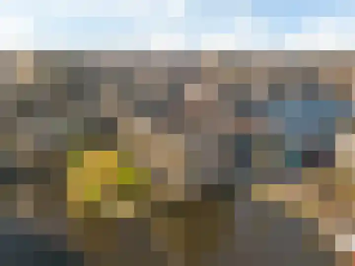 Kwakelkade 6 F Alkmaar thumbnail 40