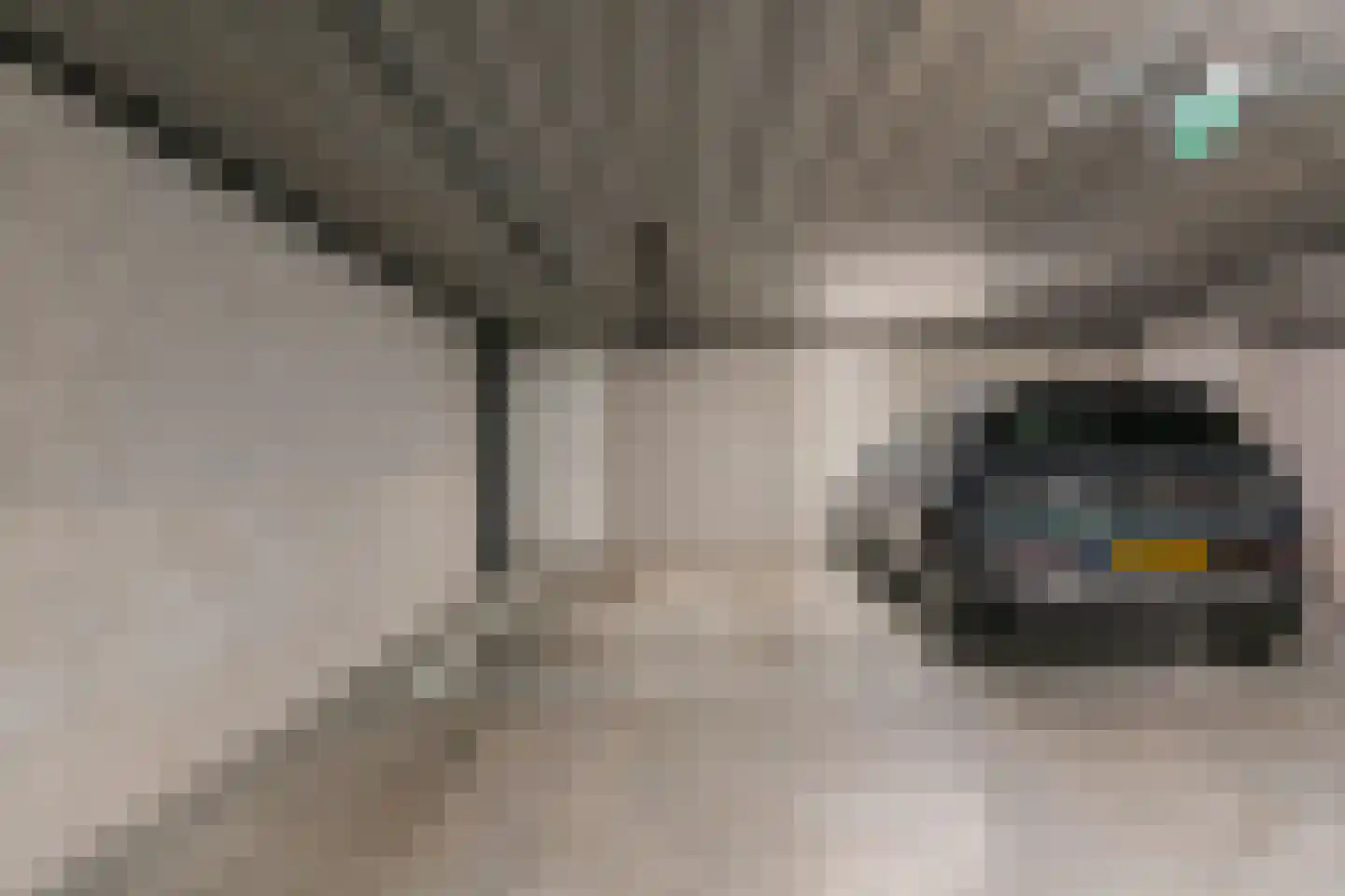 Kwakelkade 6 F Alkmaar thumbnail 41