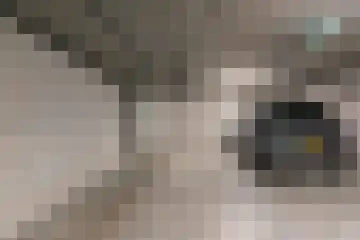 Kwakelkade 6 F Alkmaar thumbnail 42