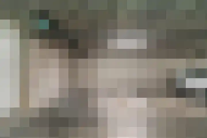 Kwakelkade 6 F Alkmaar thumbnail 43