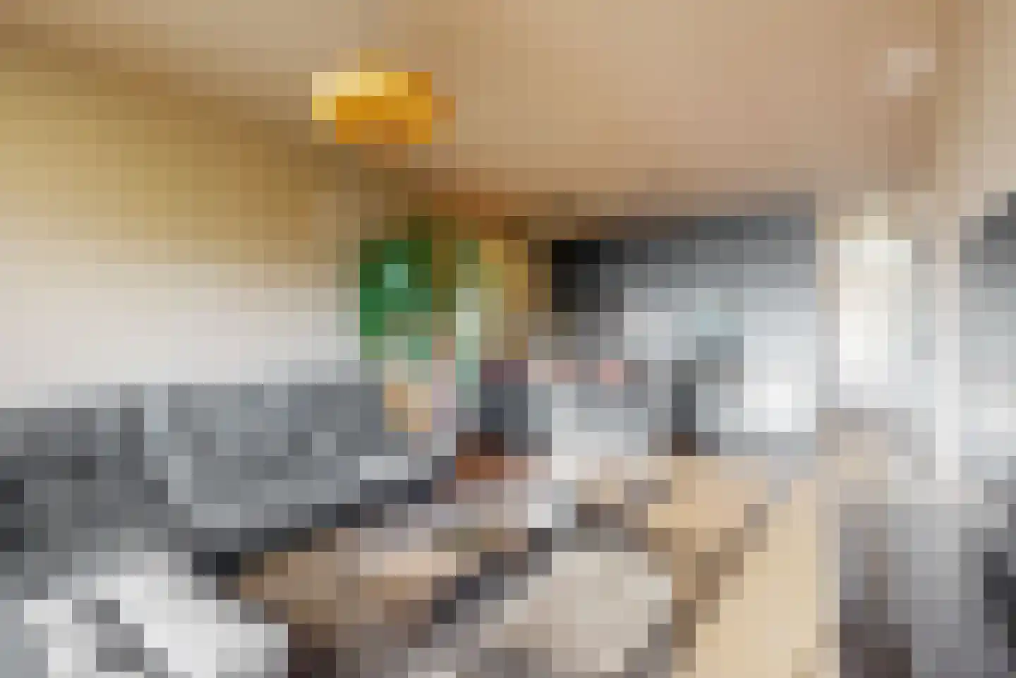 Kwakelkade 6 F Alkmaar thumbnail 6