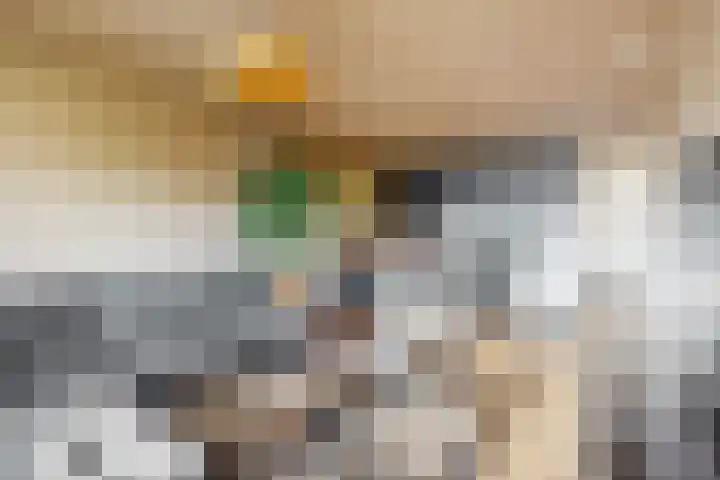 Kwakelkade 6 F Alkmaar thumbnail 6