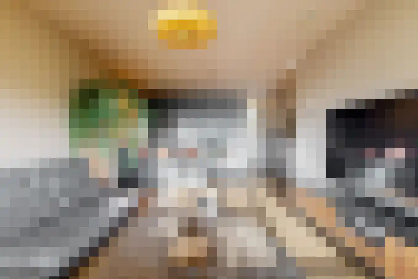 Kwakelkade 6 F Alkmaar thumbnail 7