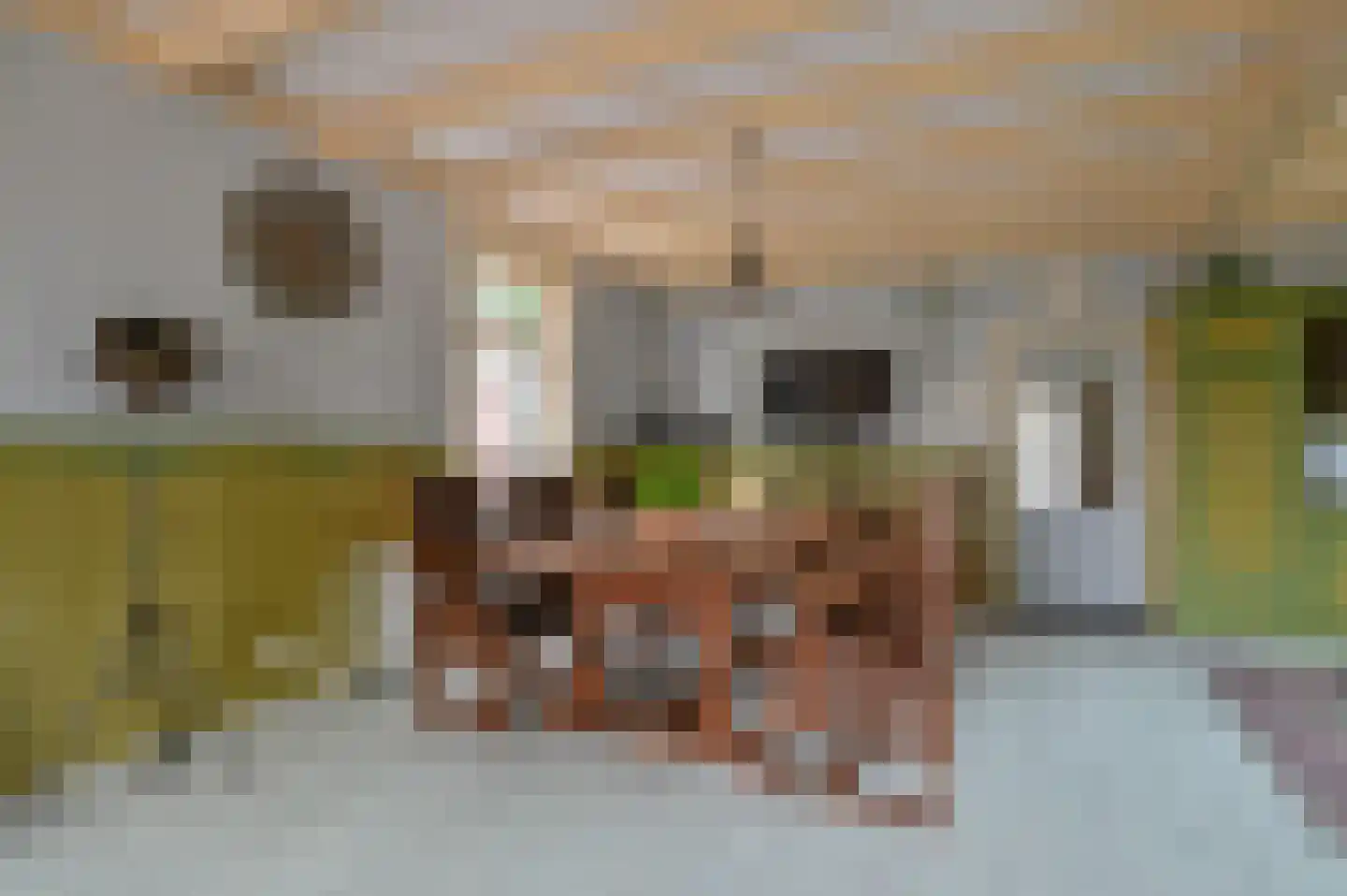Kwakelsepad 18 De Kwakel thumbnail 10