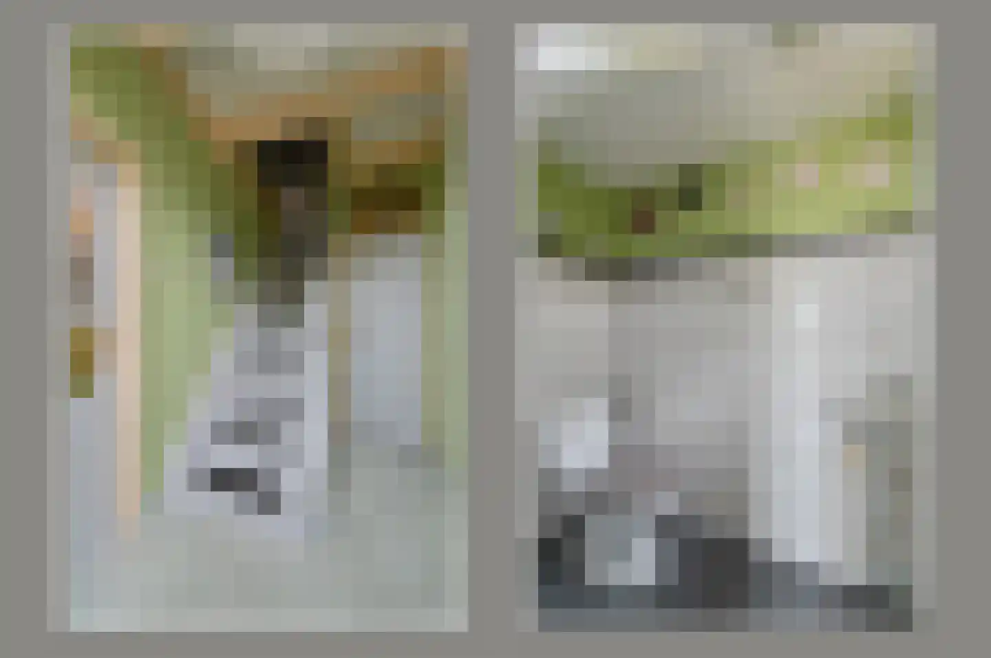 Kwakelsepad 18 De Kwakel thumbnail 24