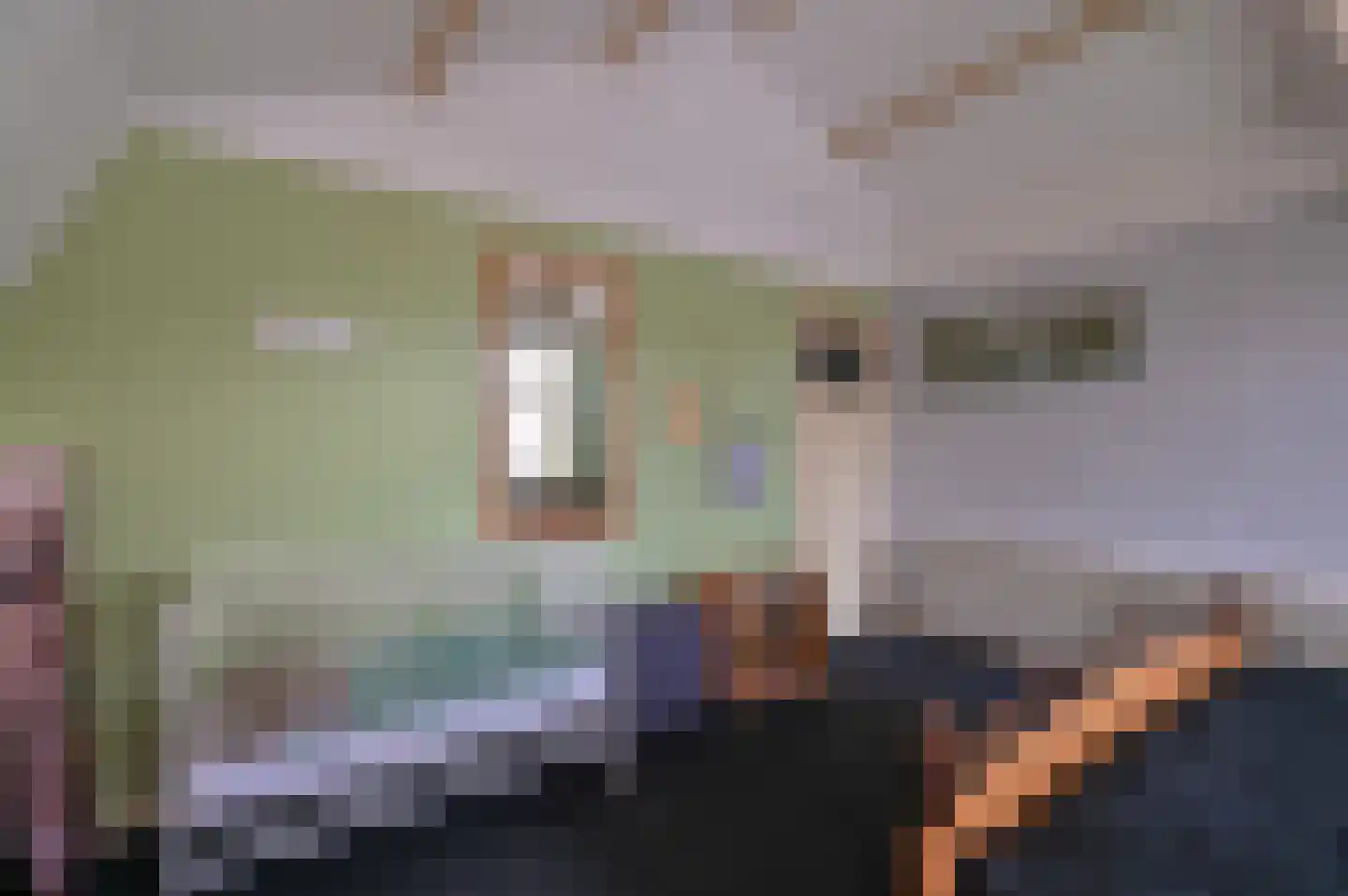 Kwakelsepad 18 De Kwakel thumbnail 28