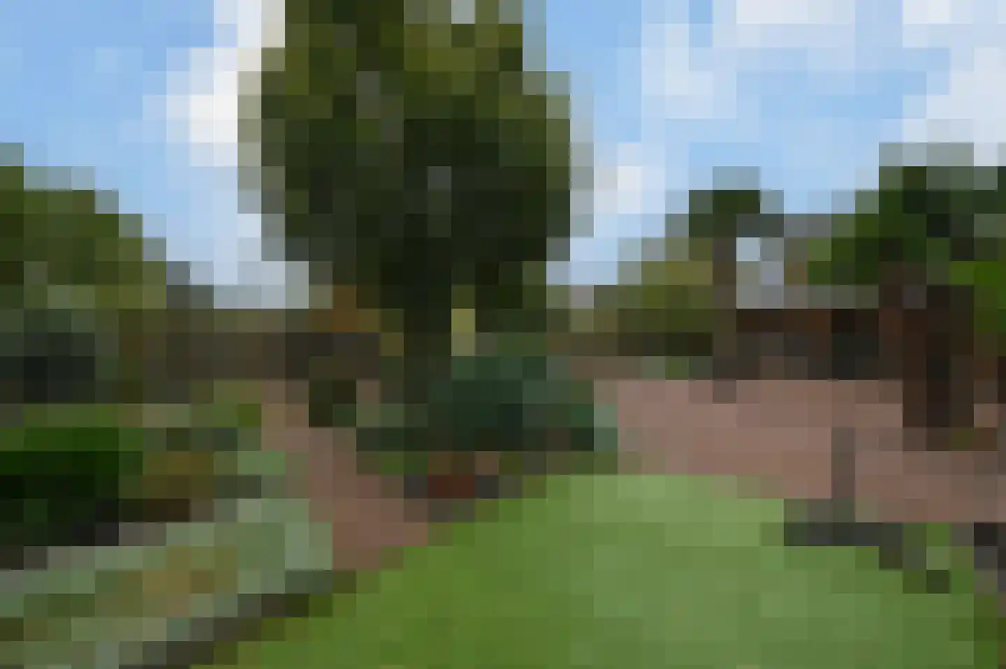Kwakelsepad 18 De Kwakel thumbnail 33