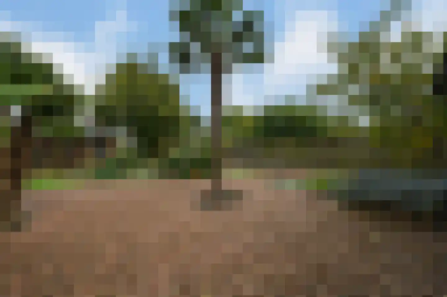 Kwakelsepad 18 De Kwakel thumbnail 34