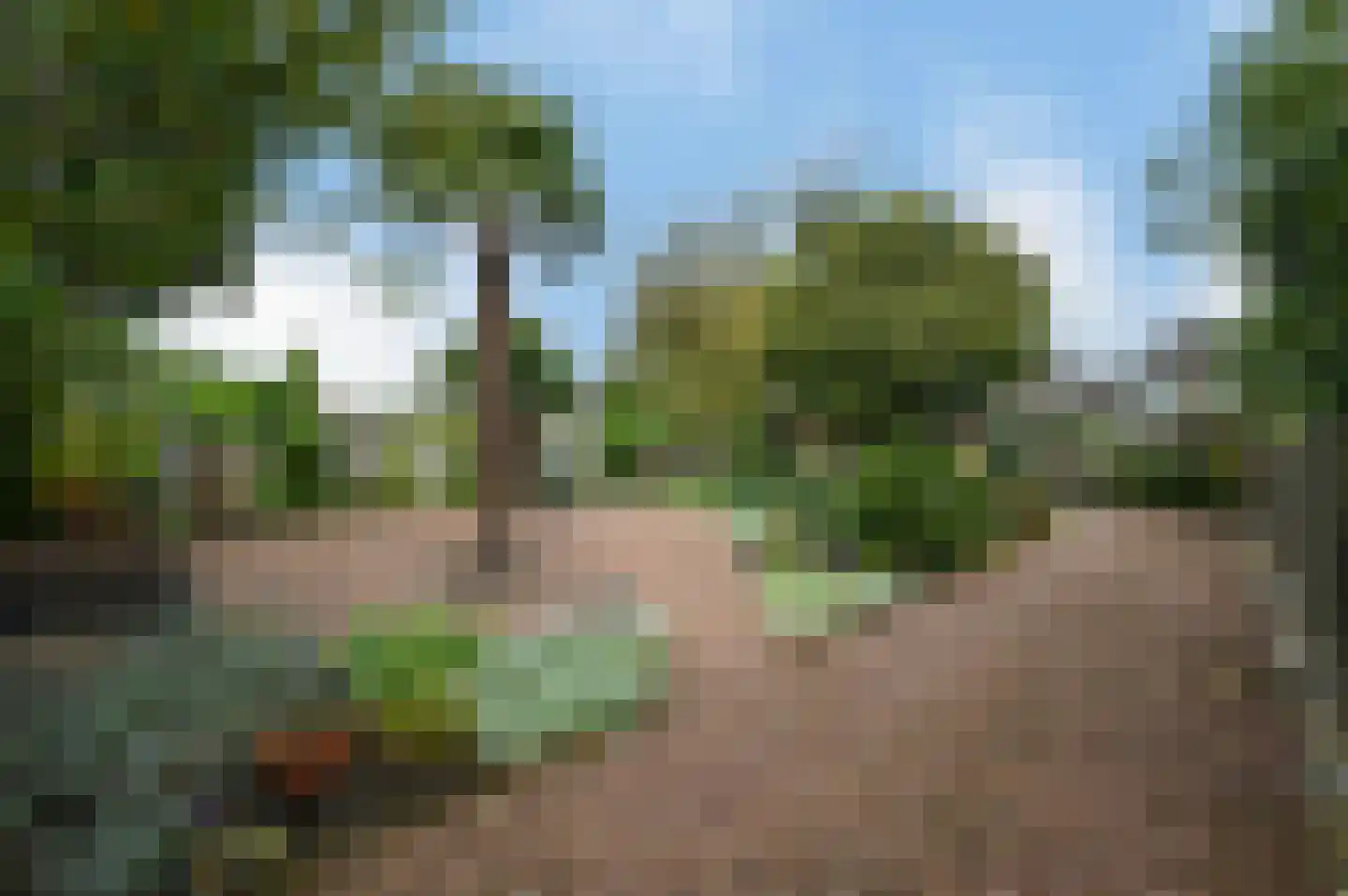 Kwakelsepad 18 De Kwakel thumbnail 35