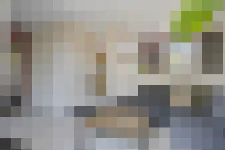 Kwakernaak 7 Nieuwland thumbnail 12