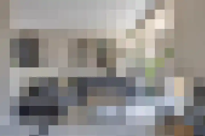 Kwakernaak 7 Nieuwland thumbnail 13
