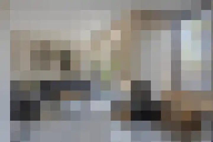 Kwakernaak 7 Nieuwland thumbnail 14