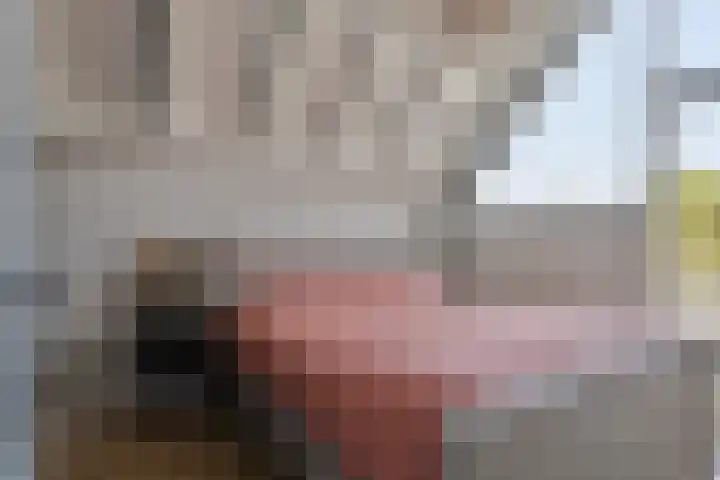 Kwakernaak 7 Nieuwland thumbnail 26