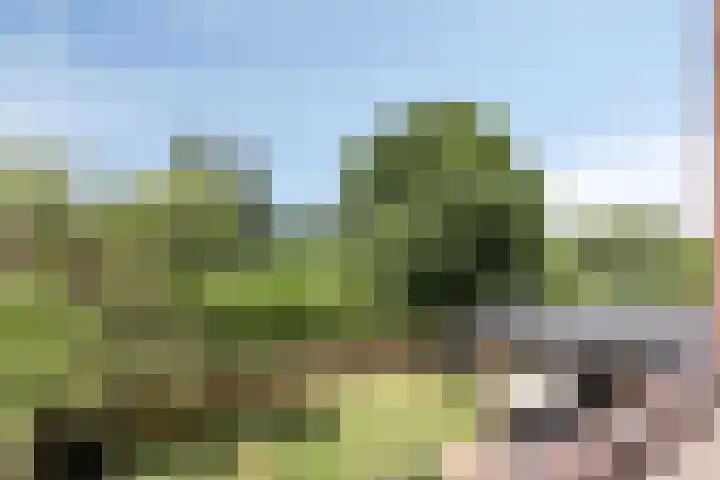 Kwakernaak 7 Nieuwland thumbnail 27