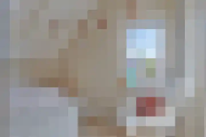 Kwakernaak 7 Nieuwland thumbnail 32
