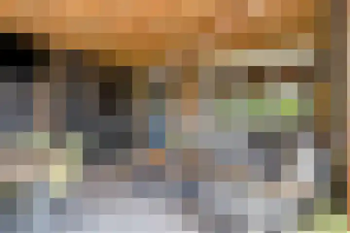 Kwakernaak 7 Nieuwland thumbnail 38