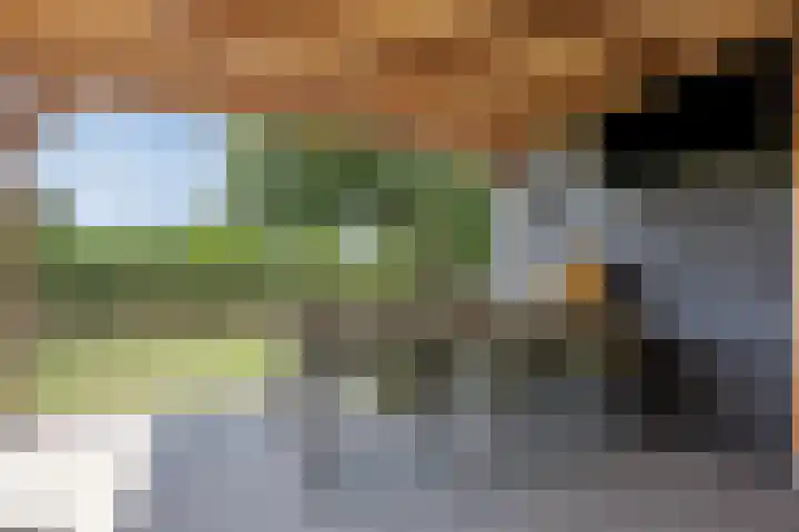 Kwakernaak 7 Nieuwland thumbnail 40