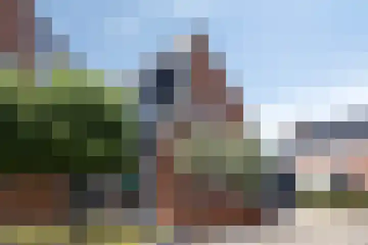 Kwakernaak 7 Nieuwland thumbnail 43