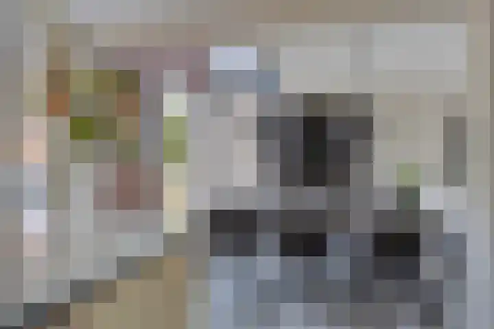 Kwakernaak 7 Nieuwland thumbnail 7