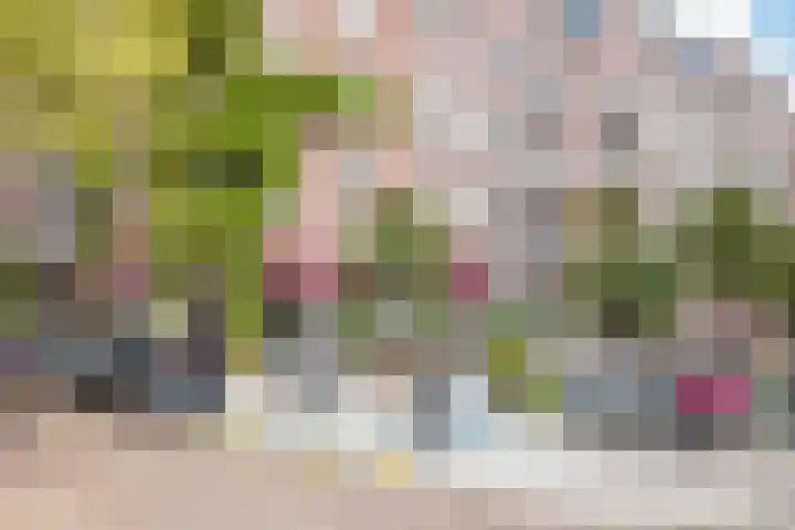 Kwakersstraat 2 1 Amsterdam thumbnail 32