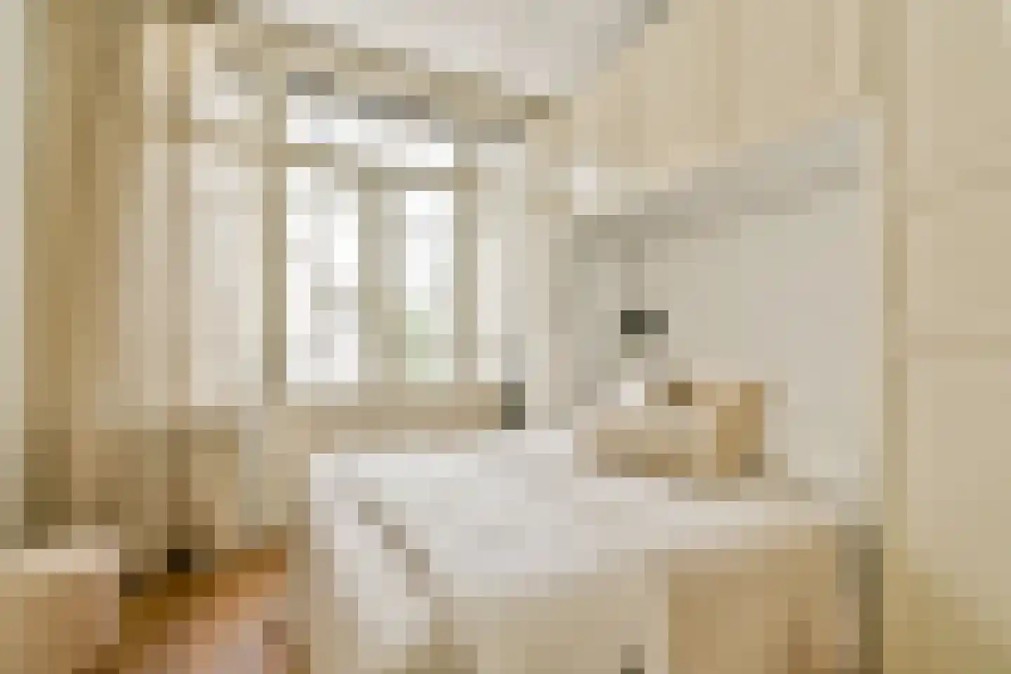 Kwakersstraat 20 1 Amsterdam thumbnail 16