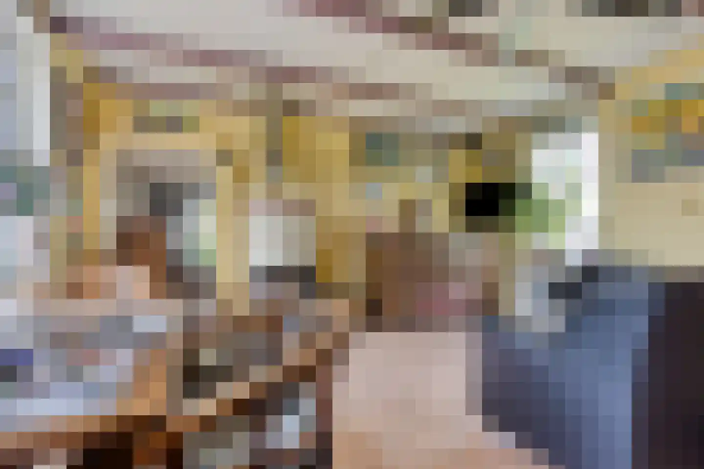 Kwakkel 17 Zaamslag thumbnail 11