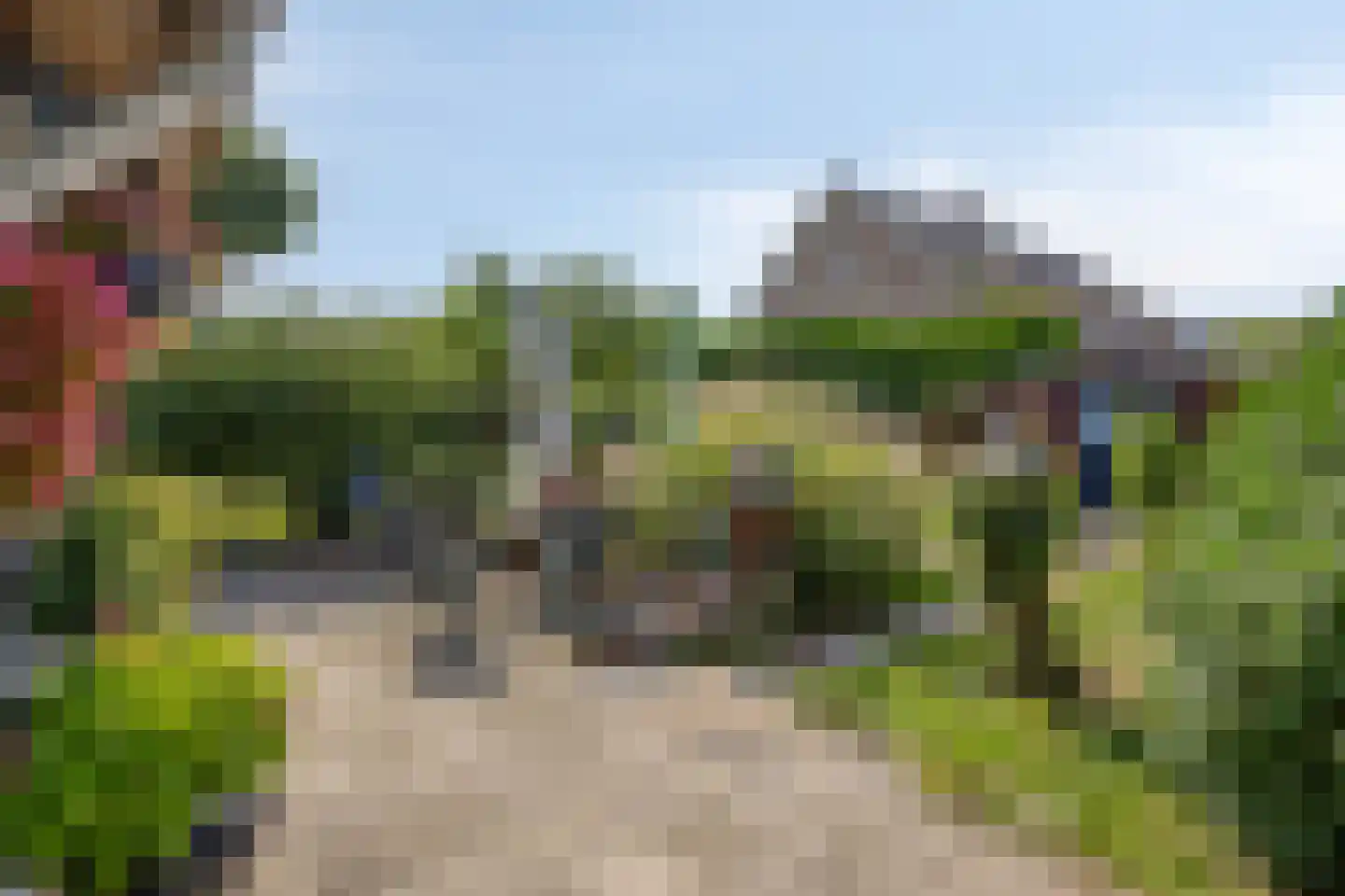 Kwakkel 17 Zaamslag thumbnail 21