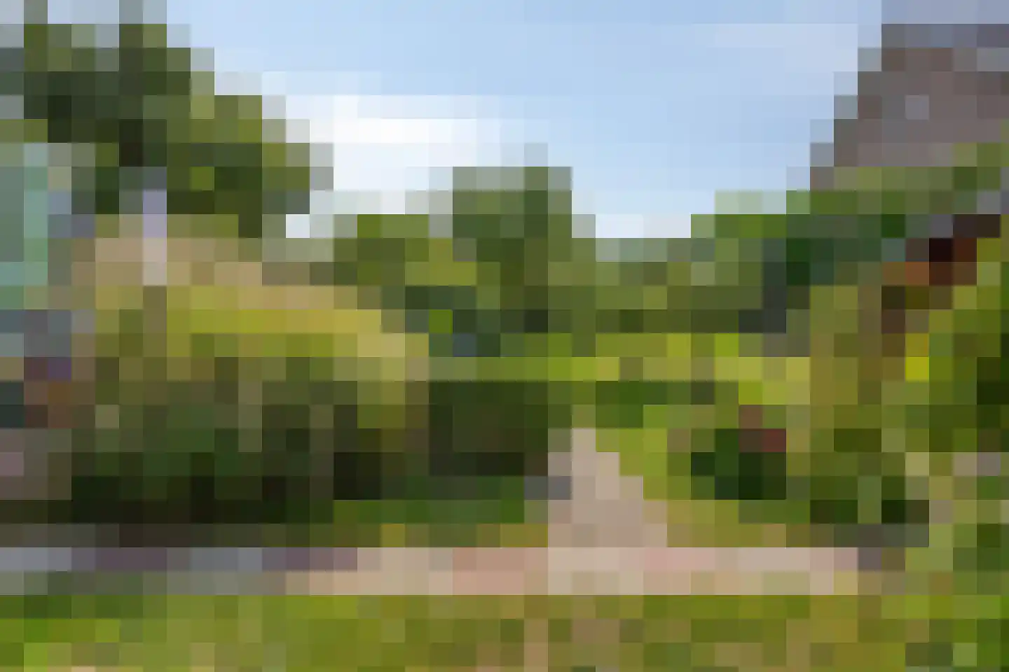 Kwakkel 17 Zaamslag thumbnail 22