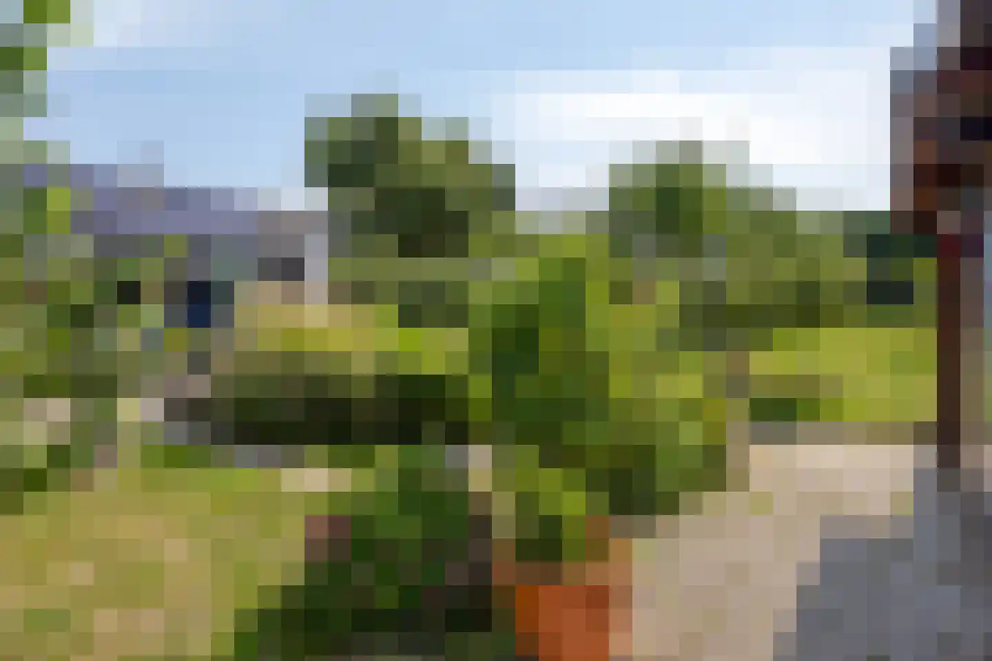 Kwakkel 17 Zaamslag thumbnail 23
