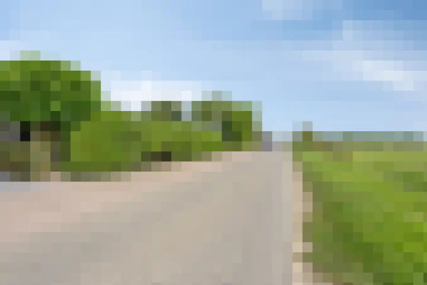 Kwakkel 17 Zaamslag thumbnail 35