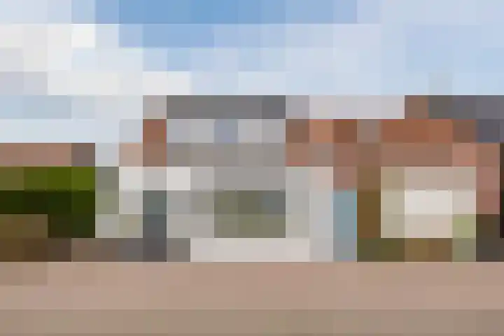 Kwakkel 21 en Zaamslag
