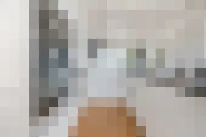 Kwakkel 21 Zaamslag thumbnail 10