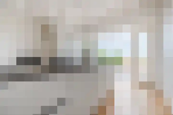 Kwakkel 21 Zaamslag thumbnail 11
