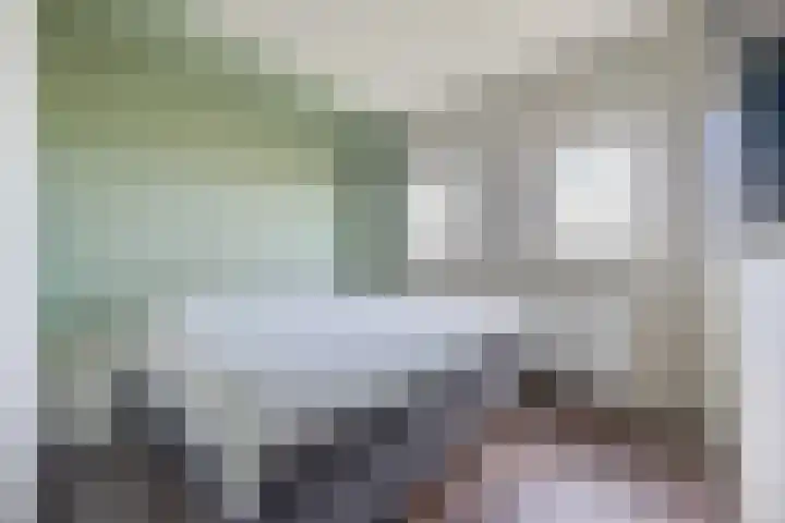 Kwakkel 21 Zaamslag thumbnail 14