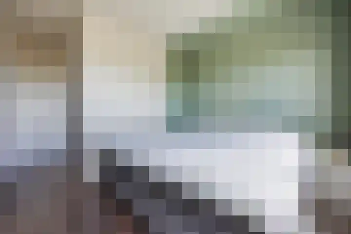 Kwakkel 21 Zaamslag thumbnail 15