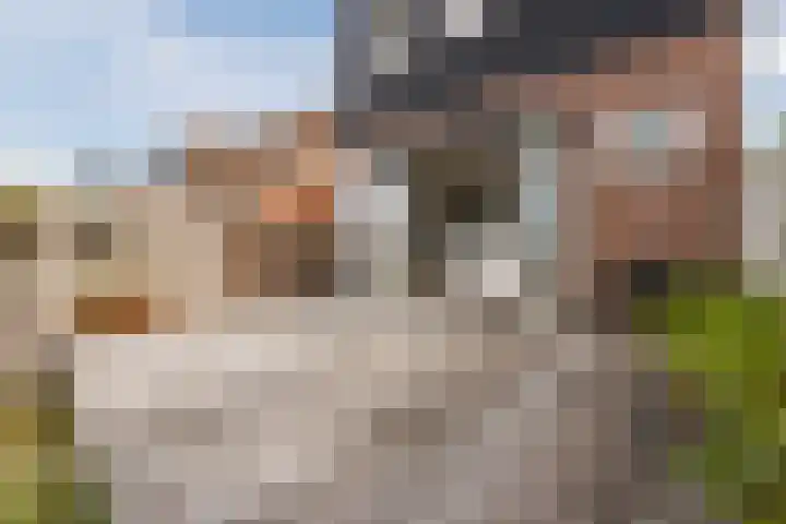 Kwakkel 21 Zaamslag thumbnail 21