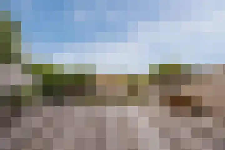 Kwakkel 21 Zaamslag thumbnail 22