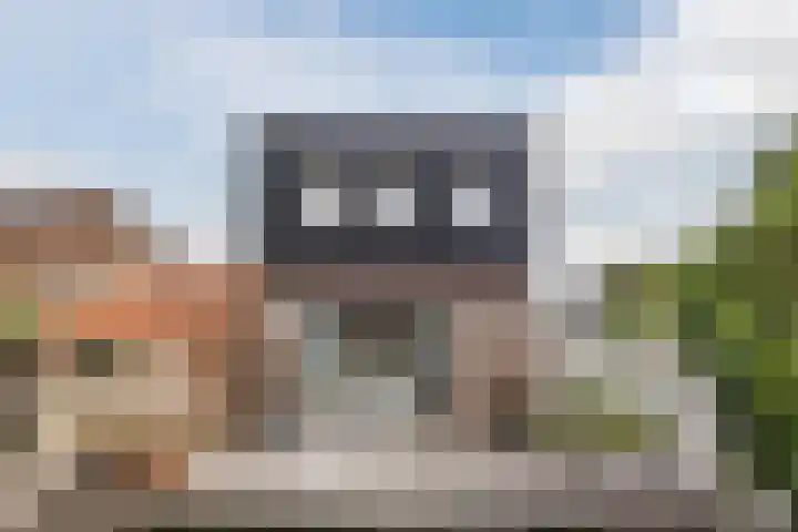 Kwakkel 21 Zaamslag thumbnail 24